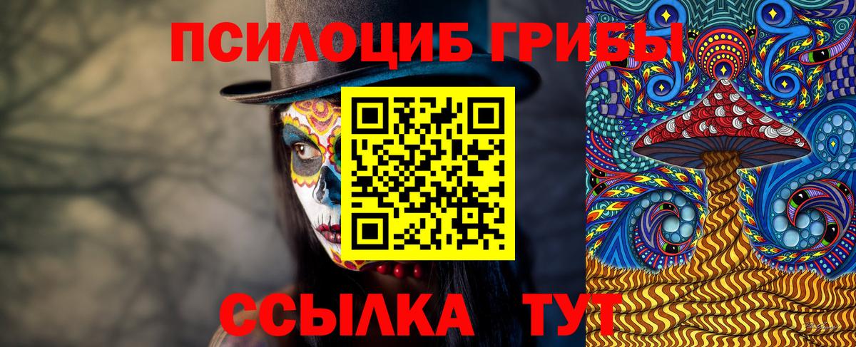 Псилоцибиновые грибы Magic Shrooms  Вход с VPN  Самара  Псилоцибиновые грибы MAGIC MUSHROOMS 
