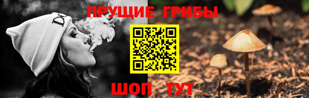 Галлюциногенные грибы MAGIC MUSHROOMS Самара